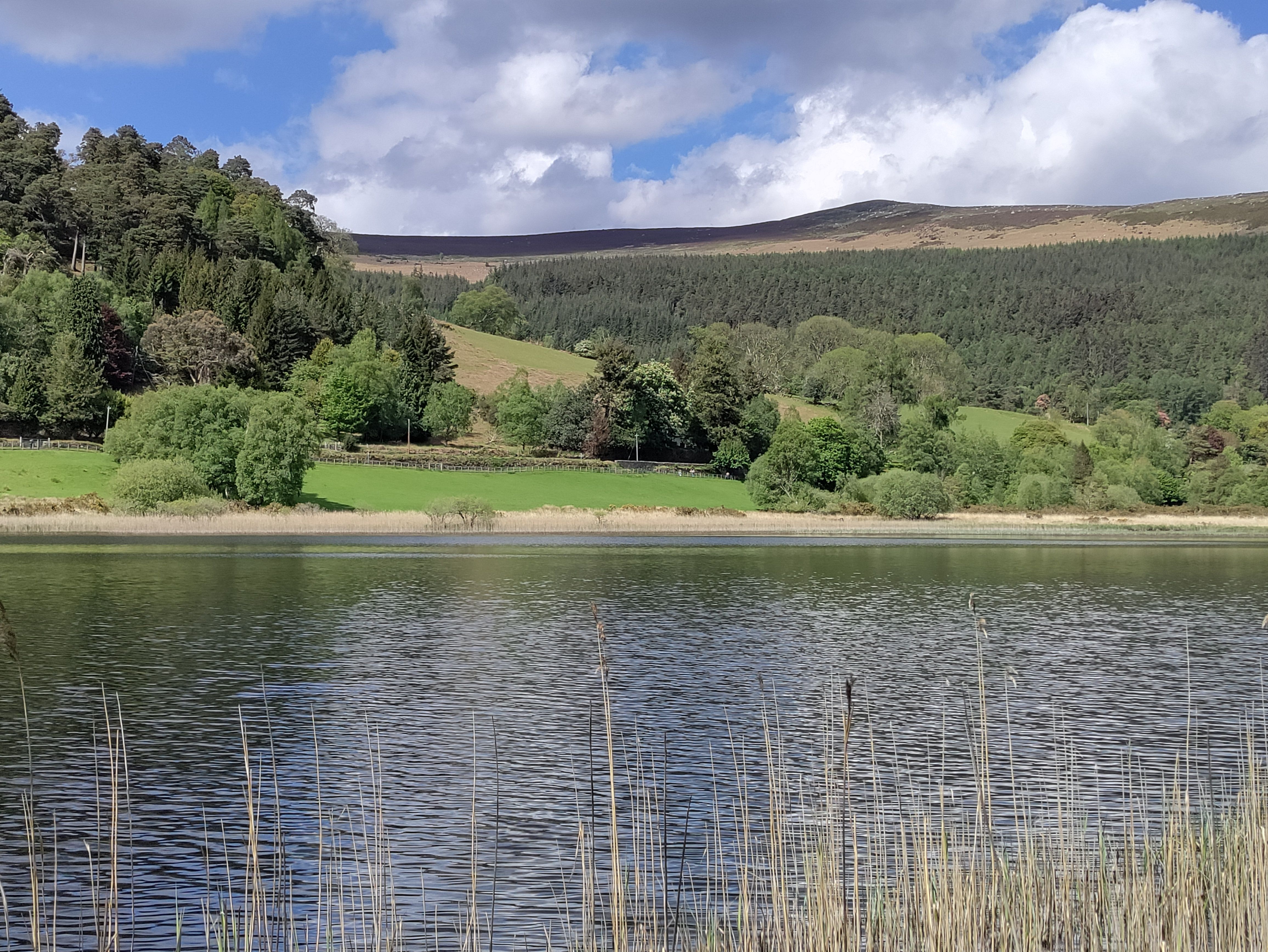 View of the Lower Lake at at Glendalough.