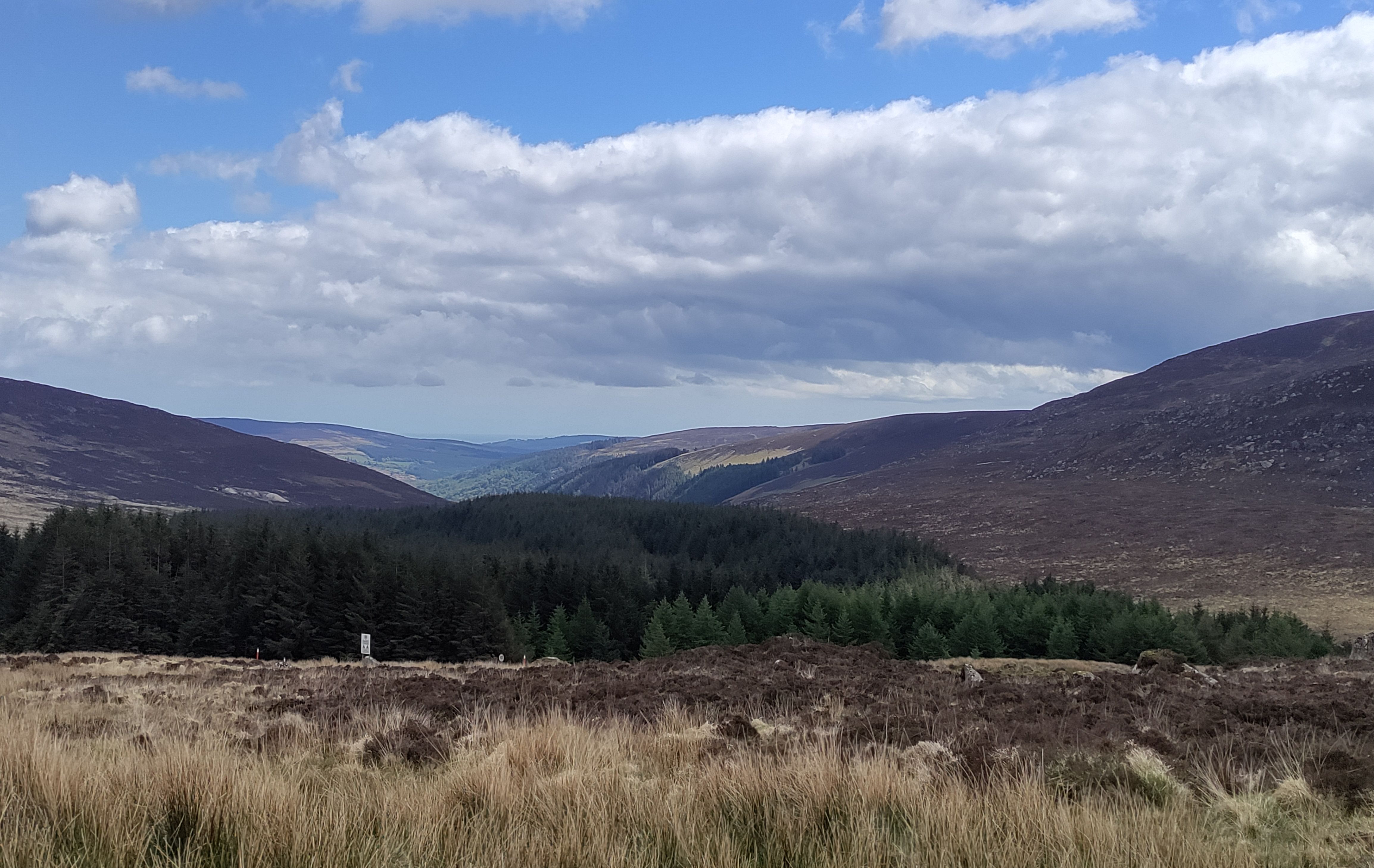 View of the Wicklow Mountains.